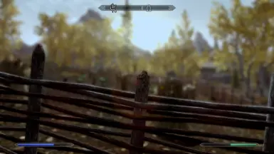 Edited - The other side of the fence - Outside Riften - SFO - VividW - RLO