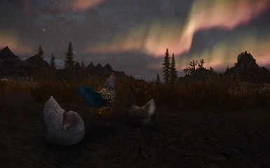 dramatically lit chickens
