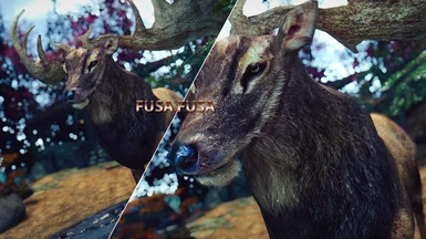 FusaFusa