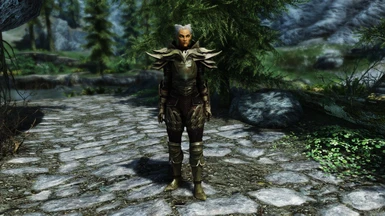 Thank you Kredans.  I mashed and retextured your armor into something new!