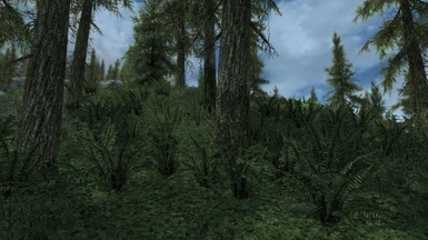 Swaths of 3D ferns of the vanilla style (v457 and prior)