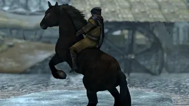 SkyrimSE 2016 11 15 12 40 20 01