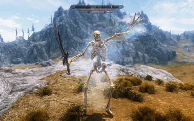 Frost Skeleton Mage