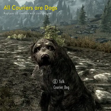 can you have a dog in skyrim