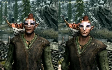 Vanilla & Total Character Makeover appearance