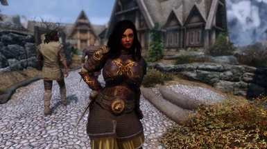 sse cbbe armor replacer
