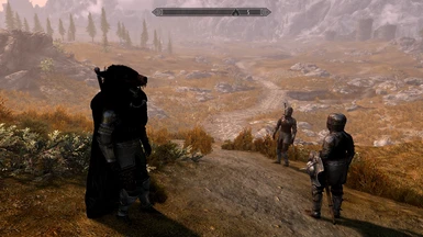 See those 2 handed Silverhand npcs? Both are the Same npc, one just got lucky and got the mantle!