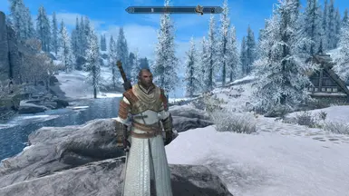 The School of Bear SE - HDT-SMP Ursine Armor from Witcher 3 at Skyrim ...