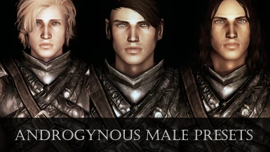 Pride of Skyrim 13 - Androgynous Male Presets