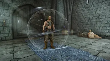 Skaal - Wind - Tempest Barrier - Passive Ability