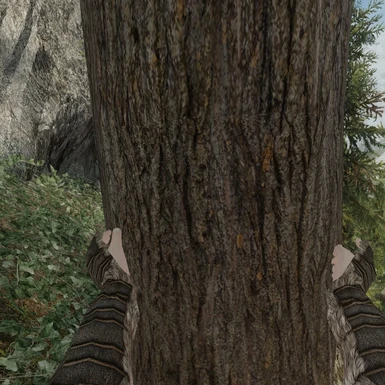 Trees are now huggable.