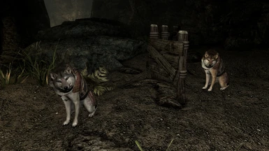 Bran & Sceolang in game (w/True Wolves Textures)