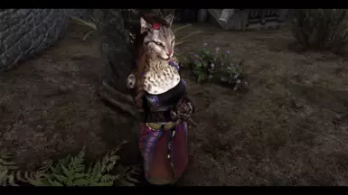 Khajiit Friendly