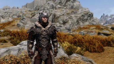 Nordic Armor with White Fur