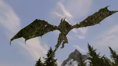 DragonEvergreen