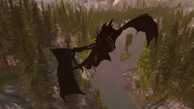 DragonShadow