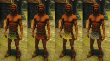 Equippable Underwear for NPCs at Skyrim Special Edition Nexus - Mods ...