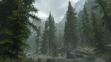Pine Branches Redone at Skyrim Special Edition Nexus - Mods and Community