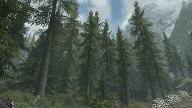 Pine Branches Redone at Skyrim Special Edition Nexus - Mods and