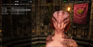 BeastHHBB brow with Argonians Enhanced Feather Textures