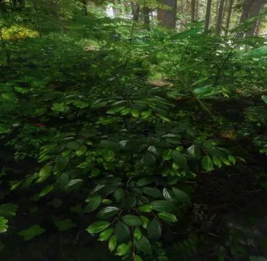 Origins Of Forest 3d Forest Grass At Skyrim Special Edition Nexus Mods And Community