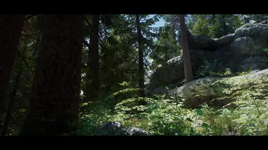Origins of Forest with Fabled Forest trees (NAT.ENB III)