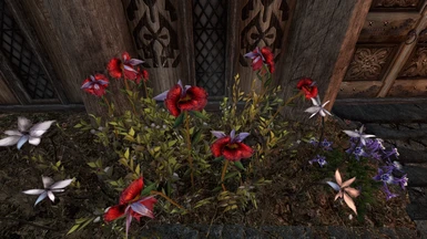Deagon's Tongue (red) and Nightshade (white) - XB1