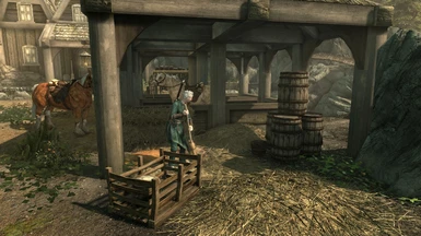 Why is she cleaning the solitude stable and why is Epona there?