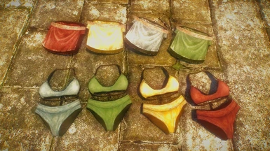 Equippable Underwear for NPCs Chinese Translation