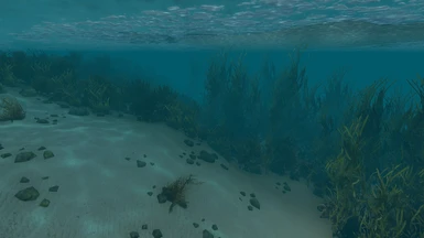 Underwater lake
