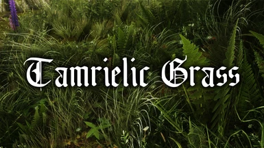 Tamrielic Grass