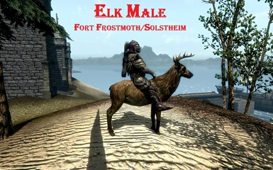 Elk Male in Morrowind Bloodmoon
