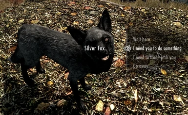 Follower Silver Fox