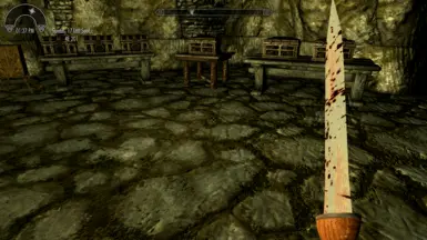 1st Person View