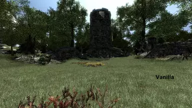 Vanilla Orjinal