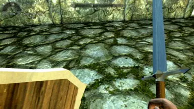 1st Person View