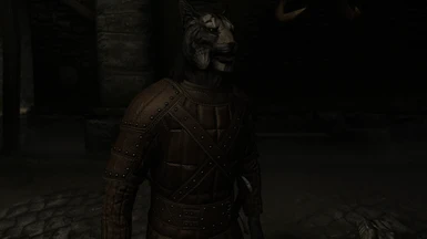 Leather Armor w/ adjusted environmental map effects (NO ENB)
