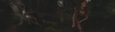 The Bosmer