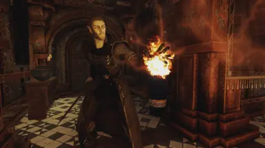Altmer Male