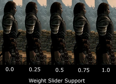 Weight Slider Support