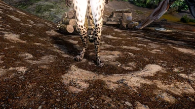 New leopard Digi feet patch!