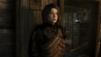 Eilowyn - a custom voiced follower at Skyrim Special Edition Nexus ...