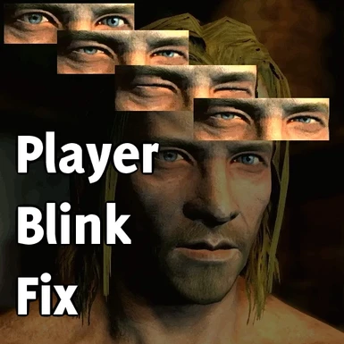 PlayerBlinkFix