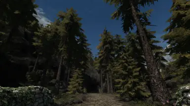 WOODLAND - Flora Overhaul at Skyrim Special Edition Nexus - Mods and ...