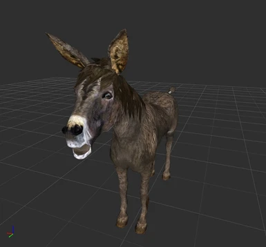 Donkey front view. Hee-haw!!!