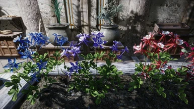 3D Mountain Flowers in planters