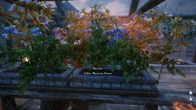 Wrong model on yellow flower while using More Growable Plants