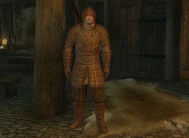 Male Thieves Guild Armour