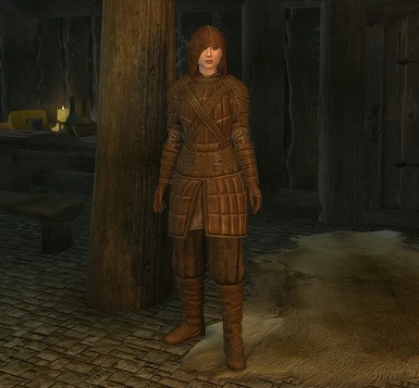 Female Thieves Guild Armour