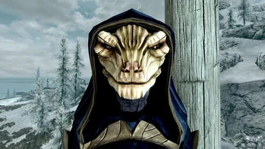 The argonian mask is one of the best parts of this mod. <3
